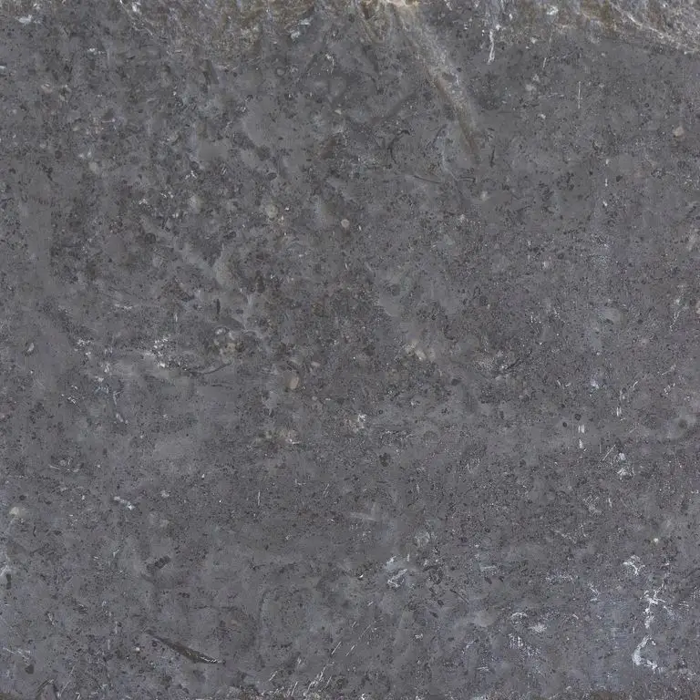 Northern Gray